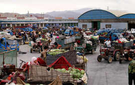 智慧農(nóng)批解決方案