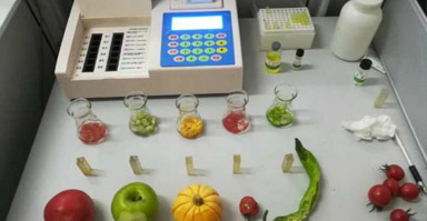 智慧市場(chǎng)農(nóng)殘監(jiān)控