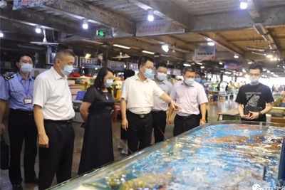 廣東省副省長(zhǎng)率隊(duì)視察深圳新洲智慧肉菜市場(chǎng)，中字溯源系統(tǒng)被實(shí)名點(diǎn)贊